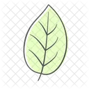 Pflanze Natur Fruhling Symbol