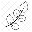 Blatt Zweig Pflanze Symbol