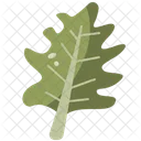 Blatt Botanisch Garten Symbol