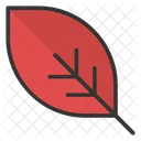 Grun Blatt Laub Symbol