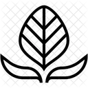 Zweig Blatt Blattchen Symbol