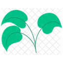 Blatt  Symbol