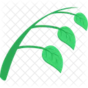 Naturlich Oko Pflanze Symbol