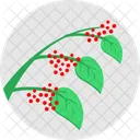 Blatt Beeren Obst Symbol