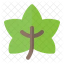 Blatt Halloween Natur Icon