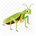 Blattmantis  Symbol