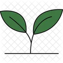 Blattpflanze Grunes Blatt Laubpflanze Symbol