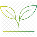 Blattpflanze Grunes Blatt Laubpflanze Symbol