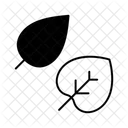 Blätter  Symbol