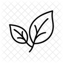 Blatter Symbol