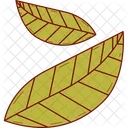 Blume Blumen Pflanze Symbol