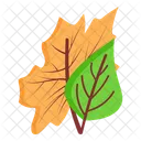 Blatt Ahorn Erntedankfest Symbol