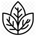 Oko Symbol