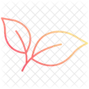 Blätter  Symbol