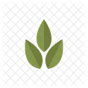Blatter Natur Pflanze Symbol