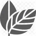 Zwei Blatter Blatt Symbol