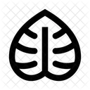 Blatter Blatt Pflanze Symbol