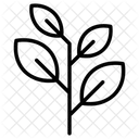 Blätter  Symbol