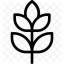 Blätter  Symbol