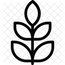 Blätter  Symbol