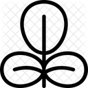 Blätter  Symbol