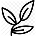 Blätter  Symbol