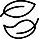 Blätter  Symbol