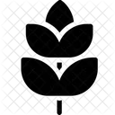 Blätter  Symbol