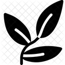 Blätter  Symbol