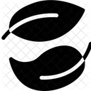 Blätter  Symbol