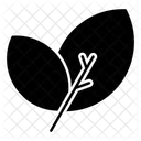 Blätter  Symbol