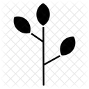 Blätter  Symbol