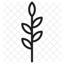 Blätter  Symbol