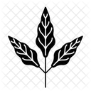 Blätter  Symbol