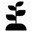 Blätter  Symbol