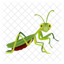 Blattmantis  Symbol
