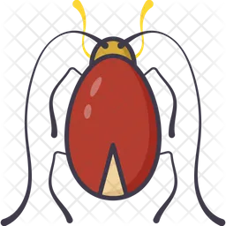 Blattodea  Icon