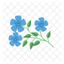 Blaue Kornblume  Symbol