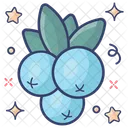 Blaubeeren  Symbol