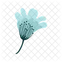 Blaue Blume  Symbol