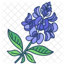 Blaue Haube Blume Blute Symbol