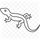Blaue Agame Blaue Agame Reptil Symbol