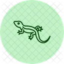Blaue Agame Blaue Agame Reptil Symbol