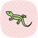 Blaue Agame Blaue Agame Reptil Symbol