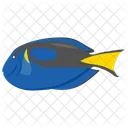 Blauer Doktorfisch  Symbol