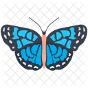 Blauer Morphofalter  Symbol