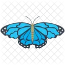 Blauer Morphofalter  Symbol