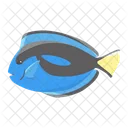 Blau Tang Fisch Symbol