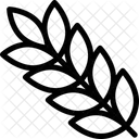 Ble Dur Epi De Ble Grain Icon