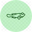 Blenny  Icon